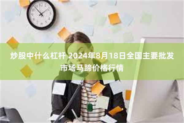 炒股中什么杠杆 2024年8月18日全国主要批发市场马蹄价格行情