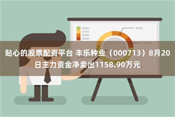 贴心的股票配资平台 丰乐种业（000713）8月20日主力资金净卖出1158.90万元