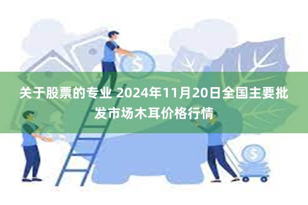 关于股票的专业 2024年11月20日全国主要批发市场木耳价格行情