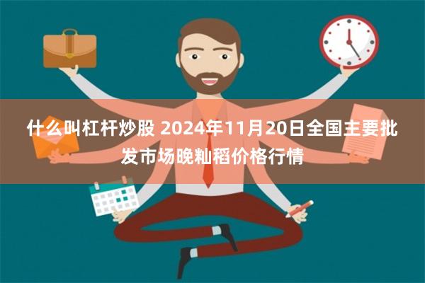 什么叫杠杆炒股 2024年11月20日全国主要批发市场晚籼稻价格行情