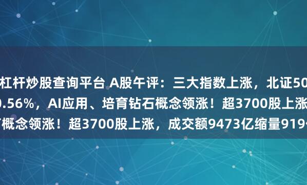 杠杆炒股查询平台 A股午评：三大指数上涨，北证50涨1.37%创业板指涨0.56%，AI应用、培育钻石概念领涨！超3700股上涨，成交额9473亿缩量919亿