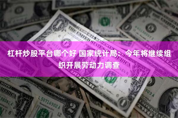 杠杆炒股平台哪个好 国家统计局：今年将继续组织开展劳动力调查