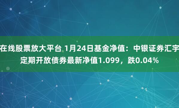 在线股票放大平台 1月24日基金净值：中银证券汇宇定期开放债券最新净值1.099，跌0.04%