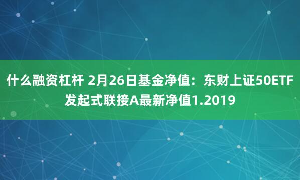 什么融资杠杆 2月26日基金净值：东财上证50ETF发起式联接A最新净值1.2019