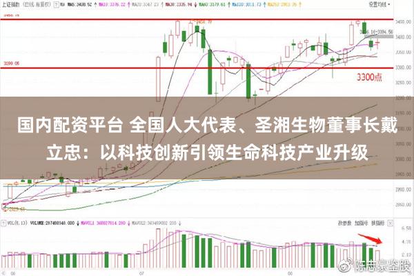 国内配资平台 全国人大代表、圣湘生物董事长戴立忠：以科技创新引领生命科技产业升级