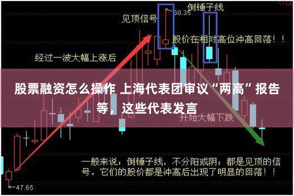 股票融资怎么操作 上海代表团审议“两高”报告等，这些代表发言